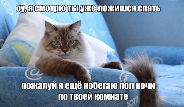       - 9  2015  18:04