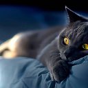 ���� ��� - B, ���������� - ��������� 30 ����� 2015 � ������ ������ ��������