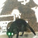 ���� ���������, ����, 48 ��� - ��������� 1 ����� 2015 � ������ ������� ����