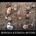 ���� ������, ���������, 52 ���� - ��������� 29 ����� 2015 � ������ ������ ��������