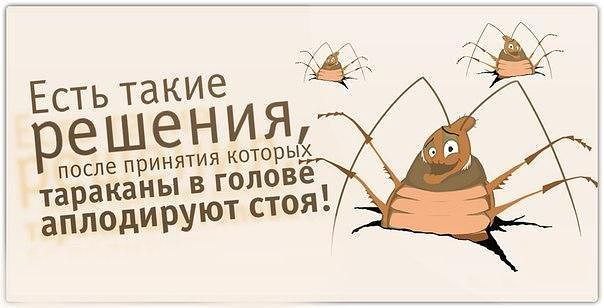   - 2  2015  14:16