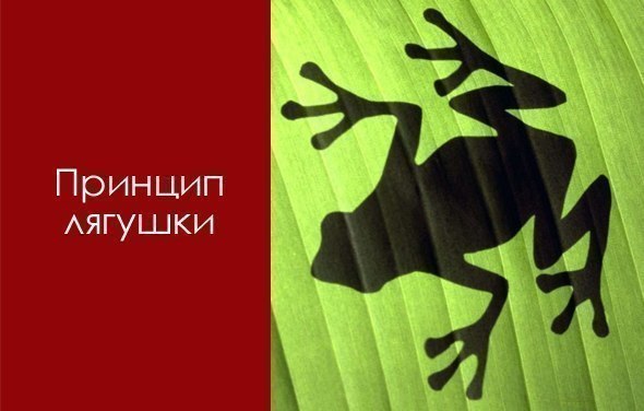Принцип лягушки. Что будет, если бросить лягушку в кастрюлю с горячей водой? Она немедленно решит: ...