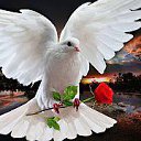 ���� ������, ���������, 46 ��� - ��������� 6 ������ 2015 � ������ ���� ����������