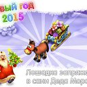 ���� �������, ��������������, 39 ��� - ��������� 7 ������� 2015 � ������ ������ ��������