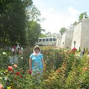 ���� ������, ���� - ��������� 7 ������ 2015 � ������ ���� ����������