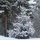 ���� ������� �, ��������, 59 ��� - ��������� 21 ����� 2015 � ������ ��������