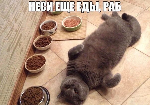   https://fotostrana.ru/away?to=/sl/KE2