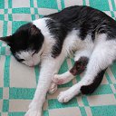 ���� ������, �����, 41 ��� - ��������� 8 ������ 2015 � ������ ���� ����������