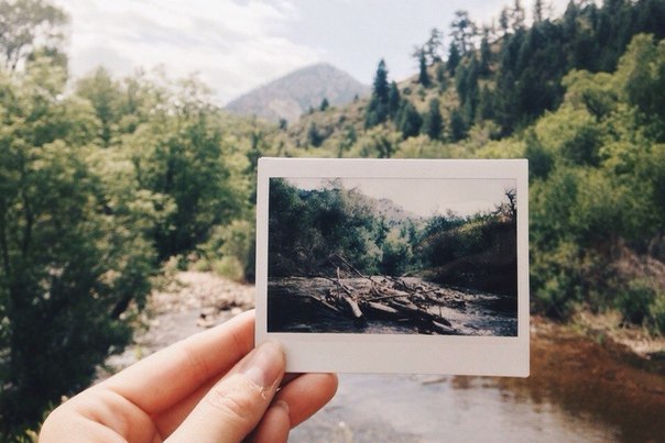       ?    Instax.   ... - 3