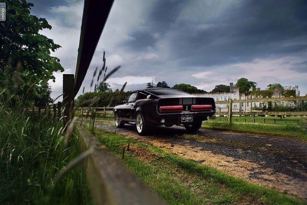 Shelby GT500E - 4