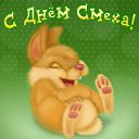 ���� �����, ���, 66 ��� - ��������� 1 ������ 2015 � ������ �������� ��������