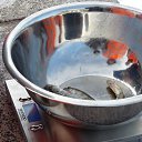 ���� ����, �����-���������, 30 ��� - ��������� 2 ����� 2015 � ������ ������� ''�������''�