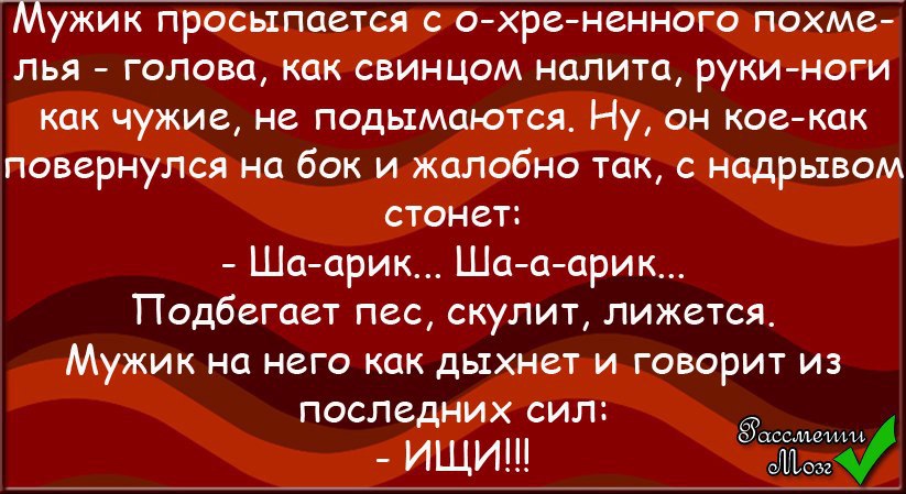 Проснулись мужики текст. Ну вот проснулись мужики текст. И вот проснулись мужики. Бодрствующий мужик.