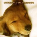 ���� ������ �������, ���, 21 ��� - ��������� 3 ����� 2015 � ������ ���� ����������