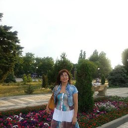 ���� �����, ��������� - ��������� 29 ������� 2014