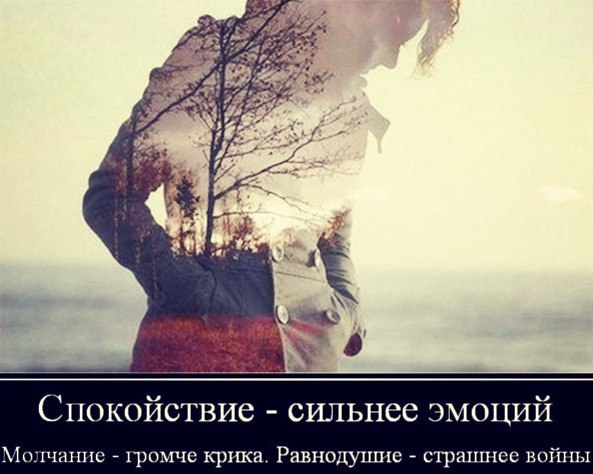  ,    ,    ..  ,      - ...