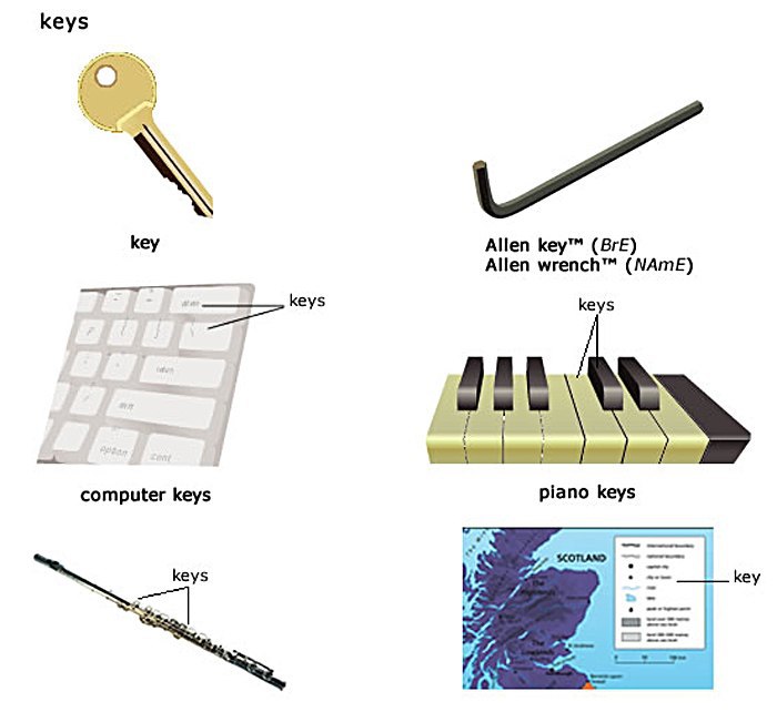    bow, scale, trunk, bridge, rack, key, magnet, overlap.    ... - 6