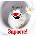 ���� �����, ���������, 47 ��� - ��������� 27 ����� 2015 � ������ ���� ����������