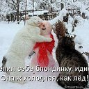 ���� �������, ���������, 55 ��� - ��������� 12 ������� 2015 � ������ ������ ��������