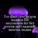 ���� �����, �����-���������, 45 ��� - ��������� 15 ������� 2014 � ������ ������ ��������