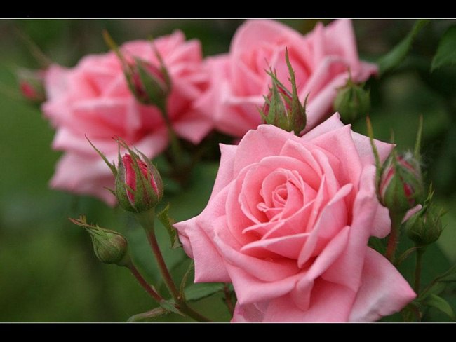   ,      ,     ..[  ...