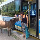 ���� ��������, �����-���������, 55 ��� - ��������� 24 ������� 2015