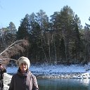 ���� ������, �����, 41 ��� - ��������� 7 ����� 2015 � ������ ���� ����������