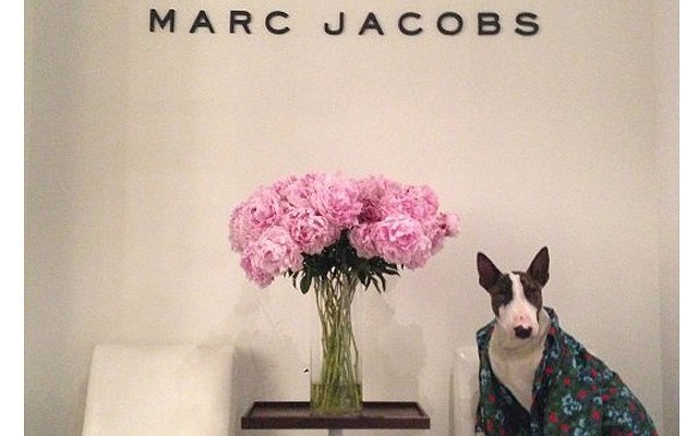Звездой рекламной кампании Marc Jacobs стал ... - 3