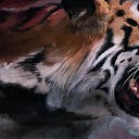  , , 50  -  24  2015    