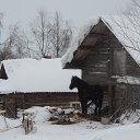  ,  -  21  2015     .
