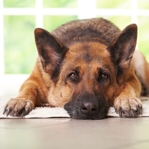   - 5  2015  02:01 - 2