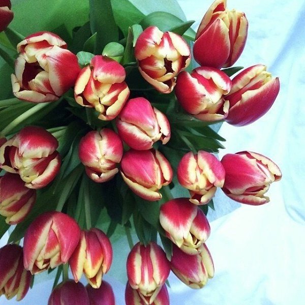   |  |  - 26  2015  18:42 - 3