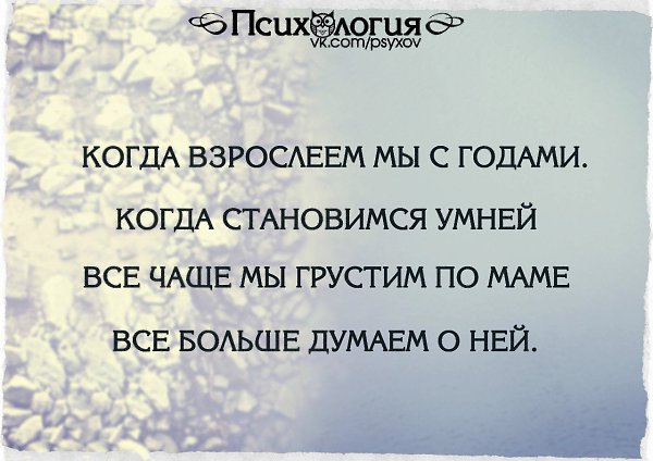  - 13  2015  23:19