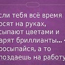 ���� �����, ������ - ��������� 5 ������� 2015 � ������ ������ ��������