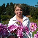 ���� ����, �����������, 52 ���� - ��������� 25 ������ 2015 � ������ ���� ����������