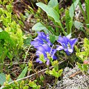 ���������� � �������. �� ������� ���� ����������