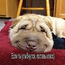 ���� ������., ������, 65 ��� - ��������� 5 ������ 2015 � ������ ���� ����������