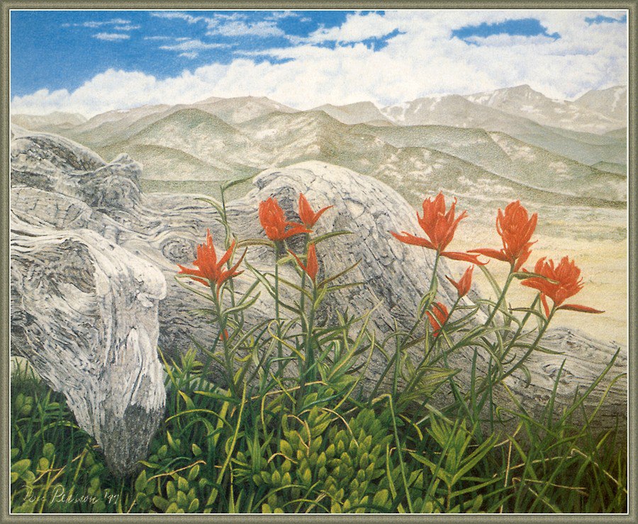 Varios Artists - 39