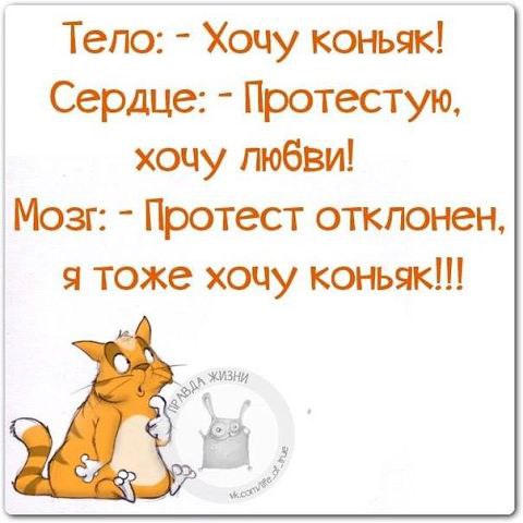 ))) - 31  2014  11:10
