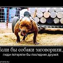 ���� ��������, ������, 33 ���� - ��������� 7 ������� 2015 � ������ ������ ��������