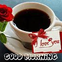 ���� �����, ����� - ��������� 23 ������� 2015 � ������ ������ ��������