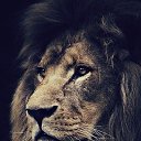 ���� ����, ������ - ��������� 6 ������ 2015 � ������ ������ ��������