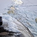 Фото Lexus, Мурманск, 52 года - добавлено 30 декабря 2014