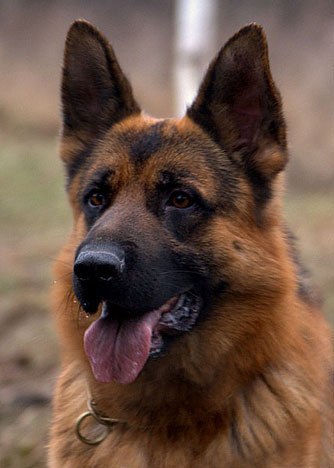   - 5  2015  02:01 - 6