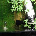 ���� V�������, ��������� - ��������� 4 ����� 2015 � ������ �������