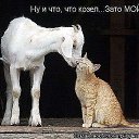 ���� ����, ������, 45 ��� - ��������� 21 ������ 2015 � ������ ���� ����������