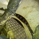 ���� ��������, ������, 40 ��� - ��������� 2 ����� 2015 � ������ ���� ����������