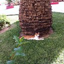 ���� ����, ������, 47 ��� - ��������� 21 ������� 2014 � ������ ������ ������� - ������ ������