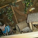  !!  !!, , 42  -  16  2014    