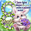 ���� ������, ���, 68 ��� - ��������� 8 ����� 2015 � ������ ������ ��������